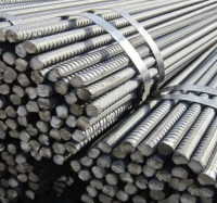 Steel Rebar